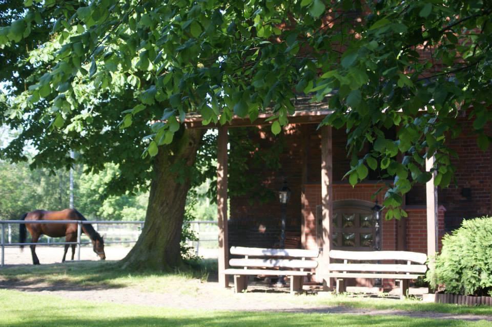 Hostel Miłosz Grabowiec  Kültér fotó